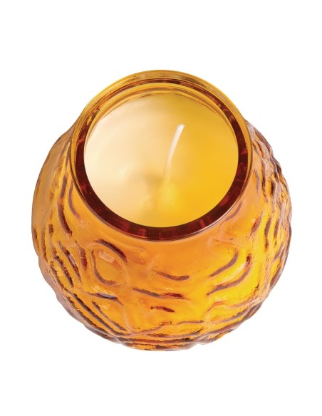 Bougies vénitiennes Bolsius Low Boy ambre - lot de 12