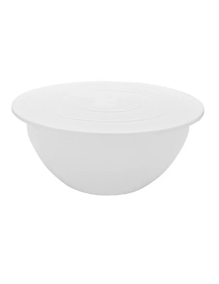 Bassine en polypropylène Schneider 9L