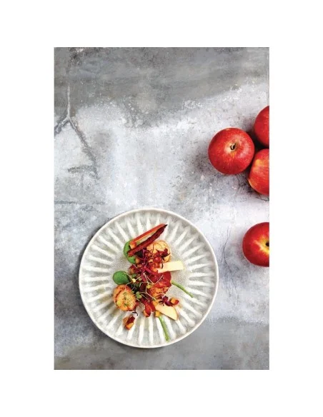 Assiettes plates Olympia Corallite grises 205 mm (lot de 6)