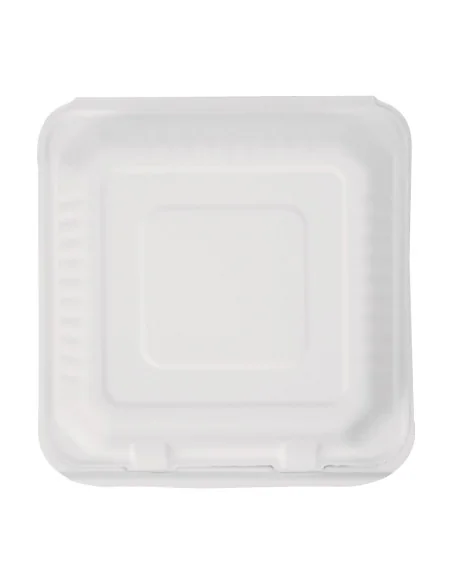 Boîtes avec couvercle à charnière Recyclables en bagasse Fiesta Recyclable 223mm (lot de 200)