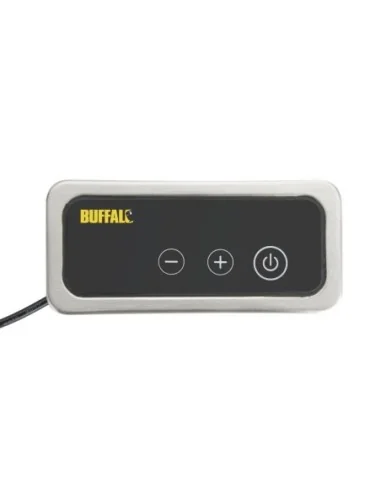 Plaque chauffante à induction compacte Buffalo 1000W