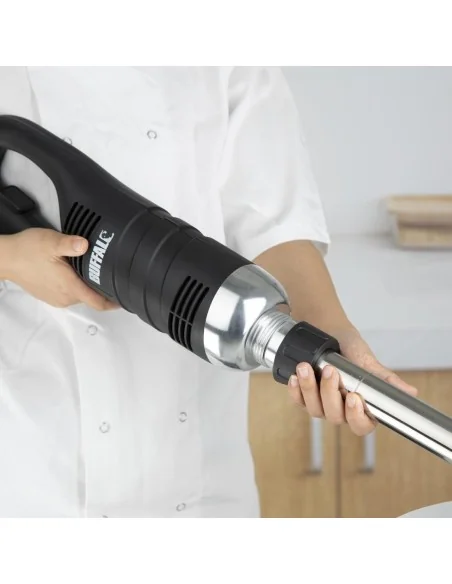 Mixeur plongeant vitesse variable Buffalo 500mm