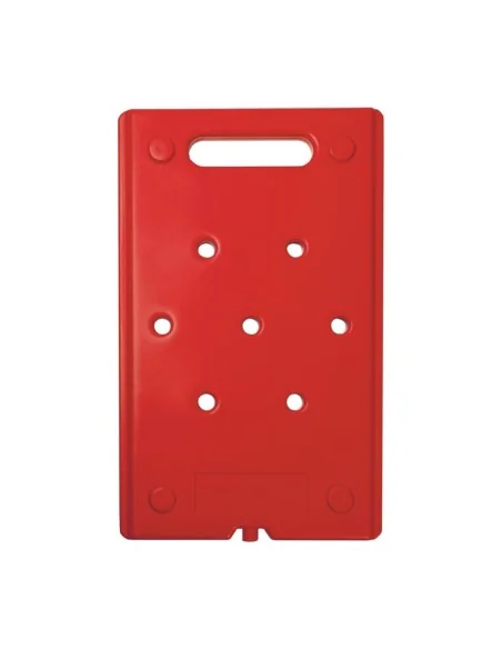 Plaque eutectique chaude Thermo Future Thermobox