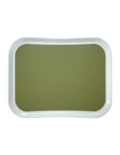 Plateau en polyester Century Fun Cambro Versa Lite 430mm vert sauge