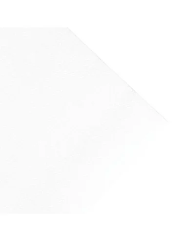 Serviettes déjeuner ouate blanches compostables Duni 400mm (lot de 750)