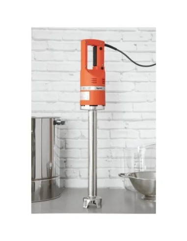 Mixeur monobloc Dynamic Master MX91