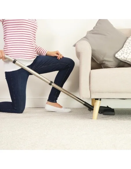 Aspirateur Numatic Henry HVR160-11