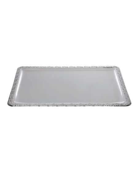 Plateau de service rectangulaire inox APS 500 x 360mm