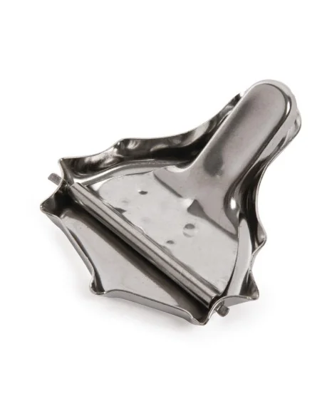 Pince citron inox