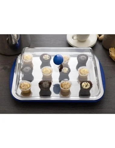 Plateau de présentation réfrigéré et couvercle APS