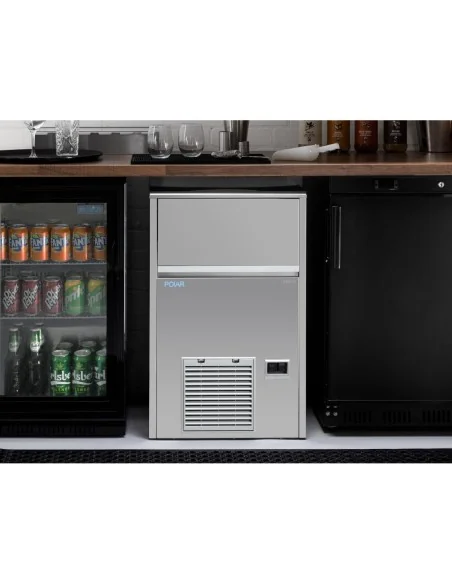 Machine à glaçons à aspersion Polar Série U 47kg