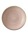 Bols Churchill Stonecast Raw Terracotta Evolve 248mm (Lot de 12)