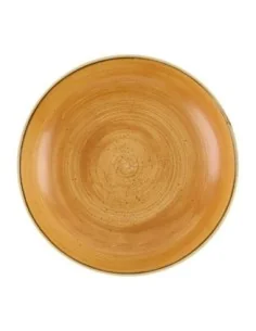 Bols Churchill Stonecast Tangerine 248mm (Lot de 12)