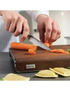 Couteau d'office Wusthof Classic 229mm 2