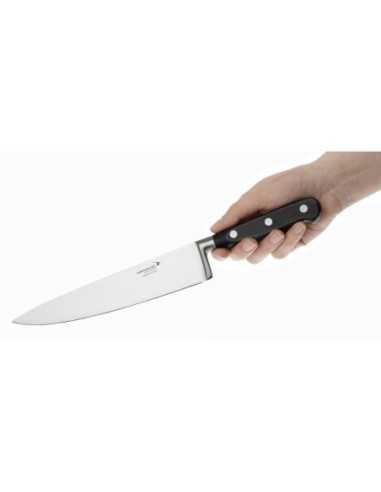 Couteau de cuisinier Deglon Sabatier 205mm