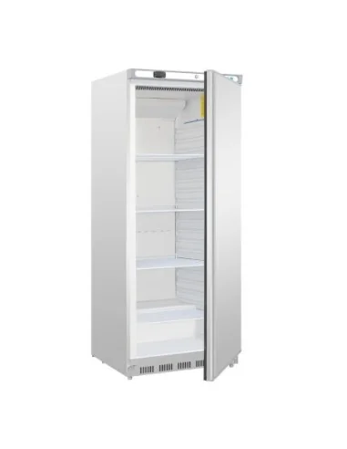 Armoire réfrigérée positive inox Polar Série C 600L