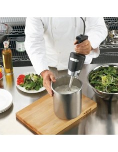 Mixeur plongeant Quik-Stik Waring WSB40E 2