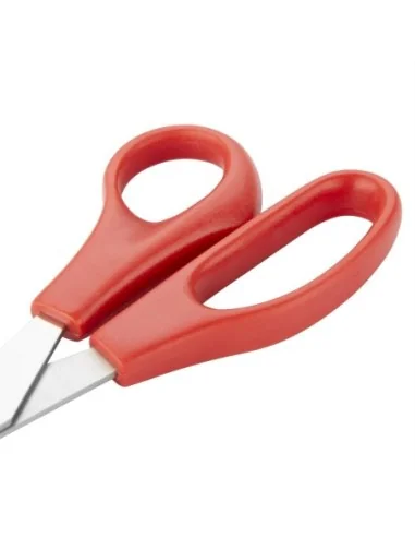 Ciseaux Hygiplas rouges