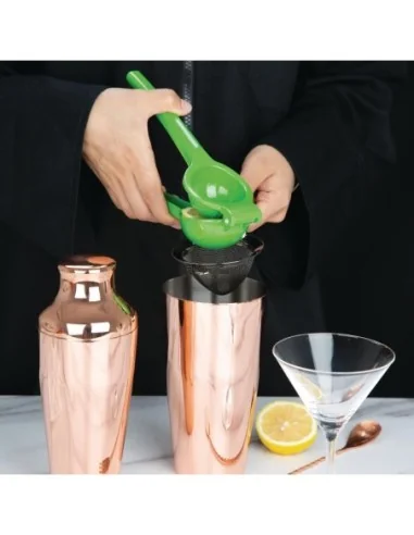 Presse-citrons manuel