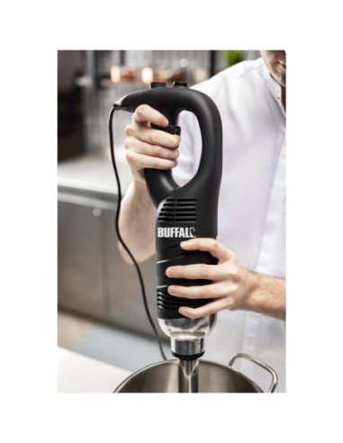 Mixeur plongeant vitesse variable Buffalo 300mm