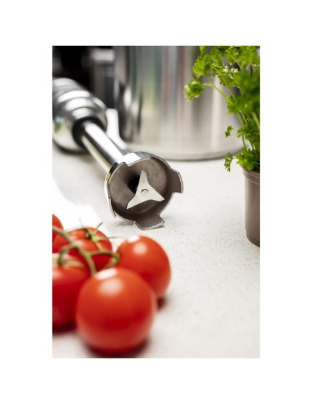 Mixeur plongeant vitesse variable Buffalo 300mm