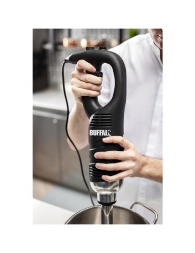 Mixeur plongeant vitesse variable Buffalo 500mm