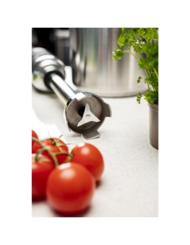 Mixeur plongeant vitesse variable Buffalo 500mm