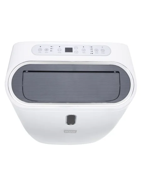 Climatiseur portable Série G Polar