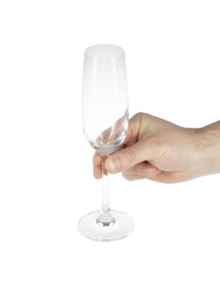 Flûte Modale Olympia 215ml (Lot de 6)