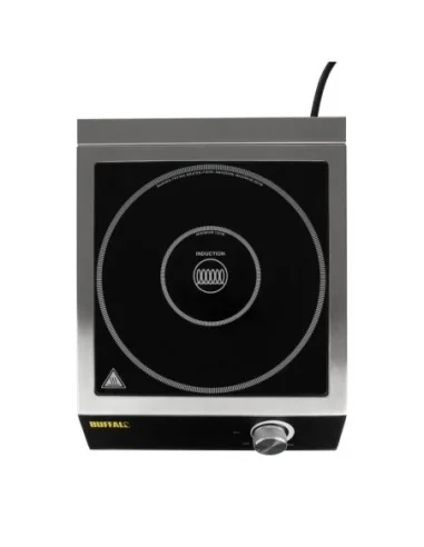 Plaque à induction Buffalo 3000W