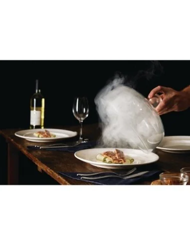 Pistolet à fumer PolyScience