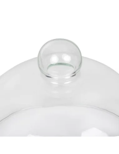 Cloche en verre 210mm