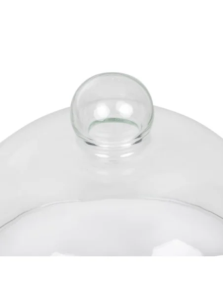 Cloche en verre 210mm