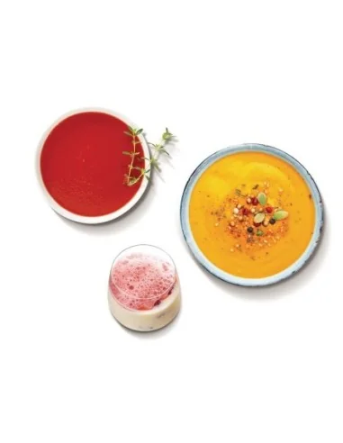 Mixeur plongeant compact Robot Coupe CMP300 V.V