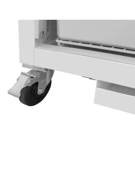 Armoire refrigérée négative 1 porte Gastro-M 376L