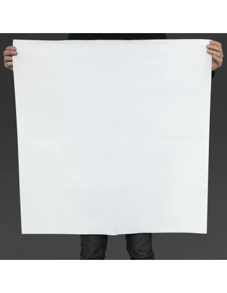 Surnappes blanches en papier Tork (lot de 25)