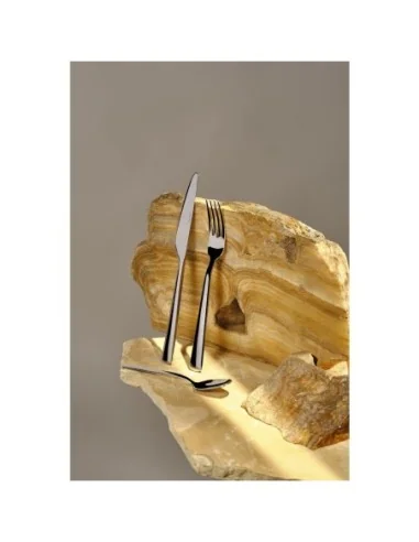 Couteaux à dessert Comas Munich 209mm (lot de 12)