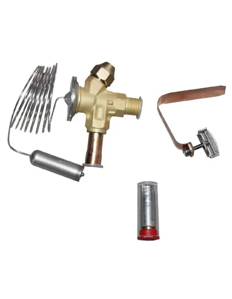 Vanne d'expansion thermostatique polaire