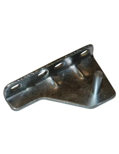 Charnière de Porte Inférieure Droite Polar