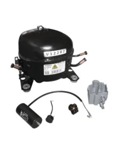 Compresseur polaire (R290-EMTE2134U)