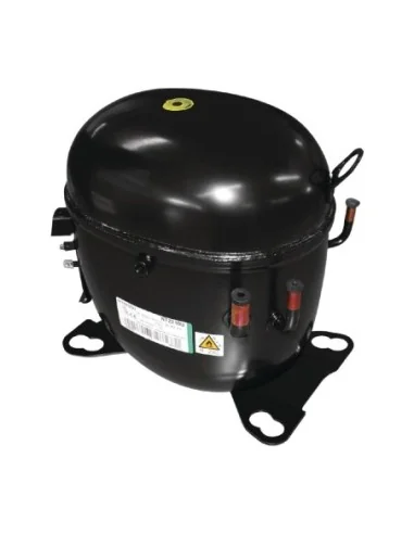 Compresseur Polaire (R290-NT2210U)